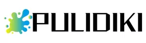 Pulidiki logo